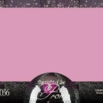 Overlay 181-1 1 181 1